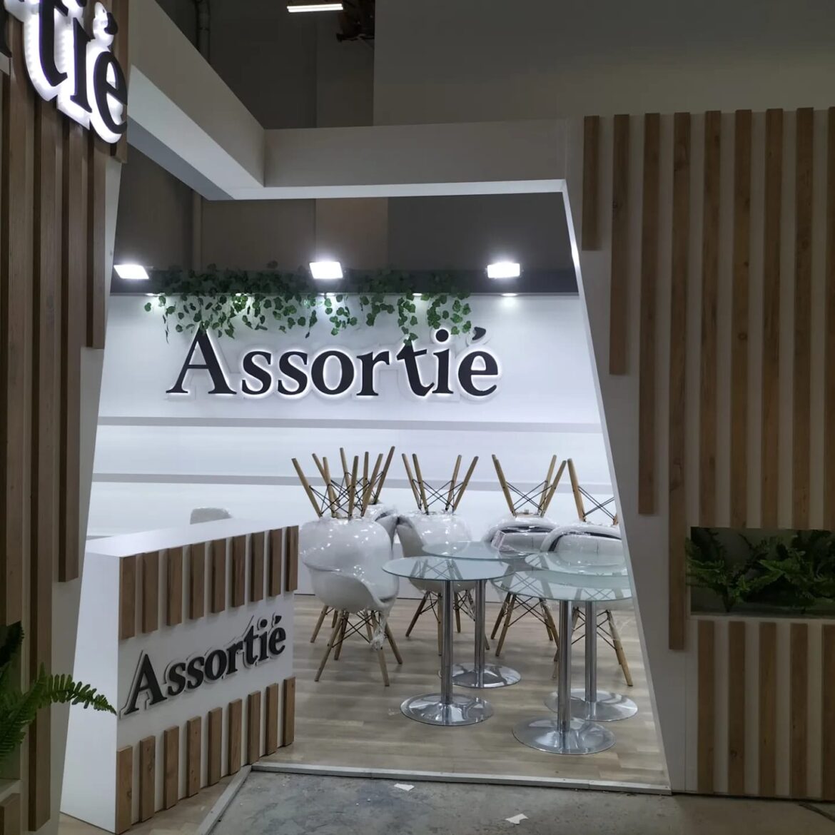 Assortie Ayakkabı